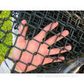 plastic coated diamond wire fence/ chain link fence